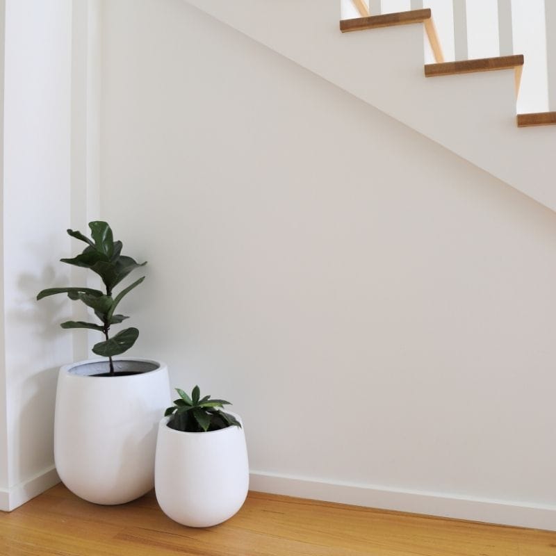 Malibu Plant Pot - White