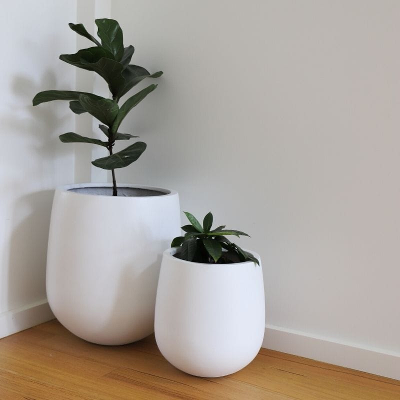 Malibu Plant Pot - White
